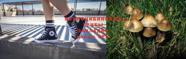 твердый Алексин